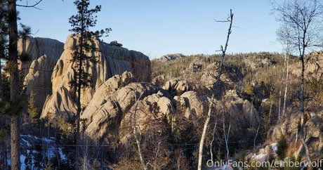 Emberwolf photo 166