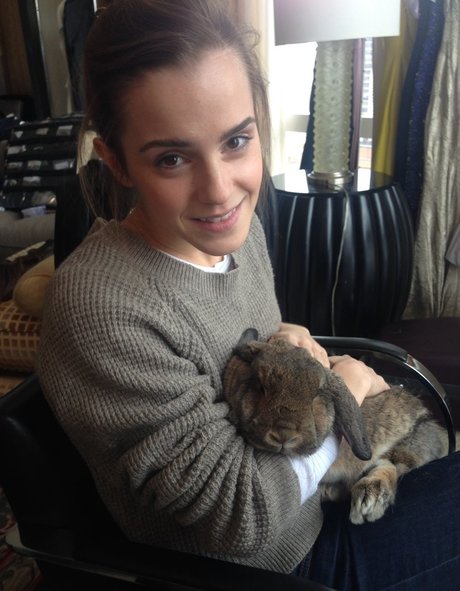 Emma Watson photo 514