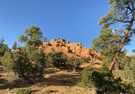 Emmawerewuff photo 6