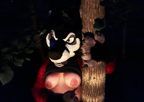 Emmawerewuff photo 18