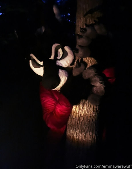 Emmawerewuff photo 19
