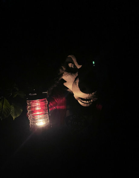 Emmawerewuff photo 20