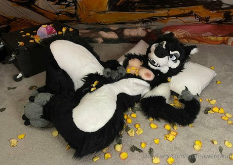 Emmawerewuff photo 39