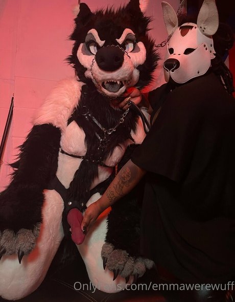 Emmawerewuff photo 44