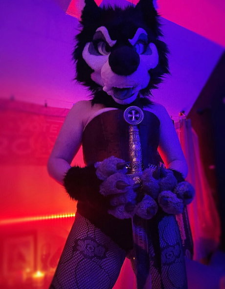 Emmawerewuff photo 70