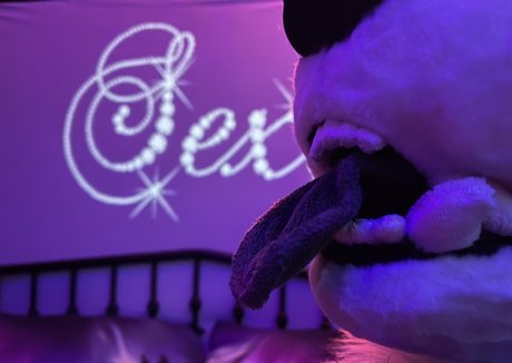 Emmawerewuff photo 74