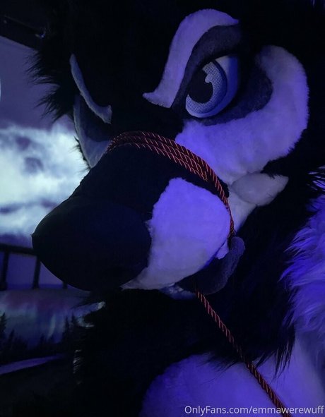 Emmawerewuff photo 76