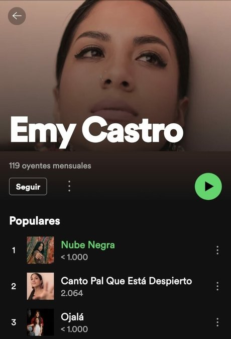 Emycastromusic photo 9