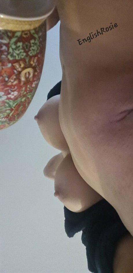 English rose photo 69