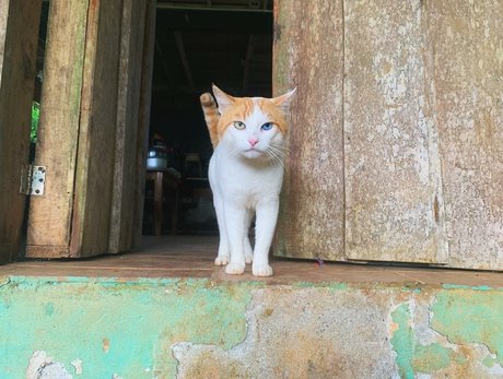 Erin Ashford photo 94