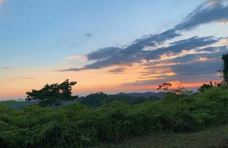 Erin Ashford photo 117