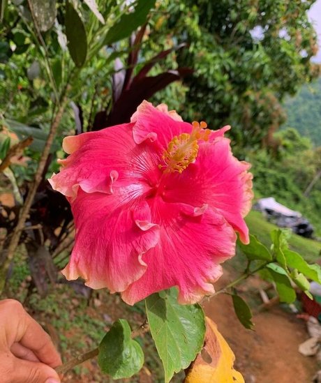 Erin Ashford photo 127