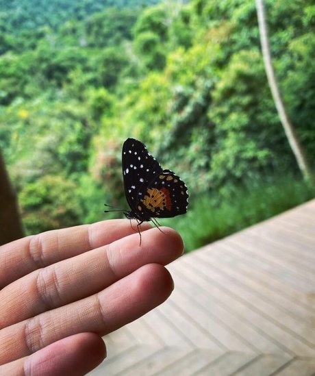 Erin Ashford photo 128