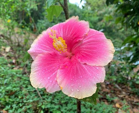 Erin Ashford photo 130