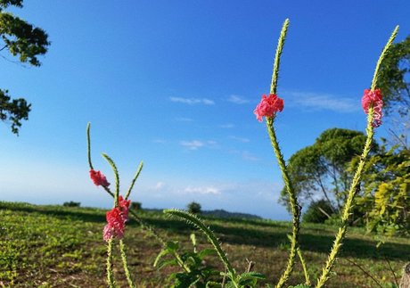 Erin Ashford photo 140