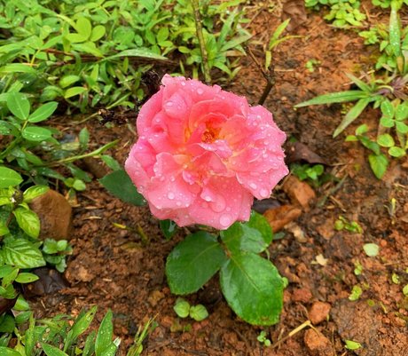 Erin Ashford photo 141