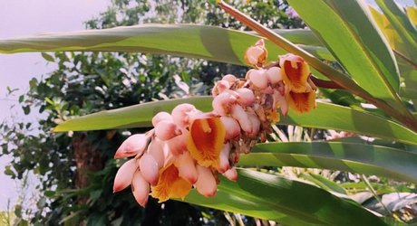 Erin Ashford photo 143