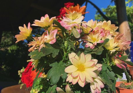 Erin Ashford photo 144