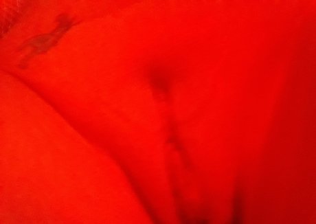 Erotiqued photo 159