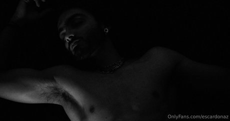 Escardonaz photo 44