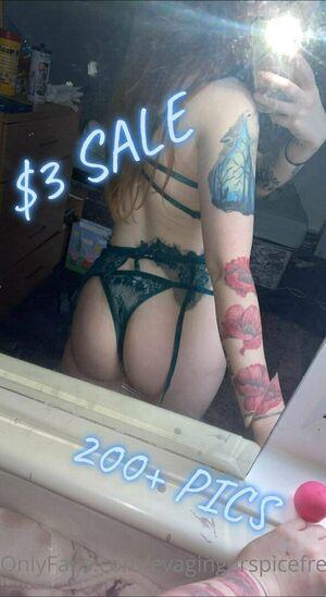 evagingerspicefree photo 38