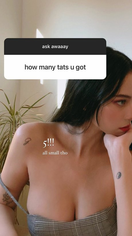 Fairy twins photo 147