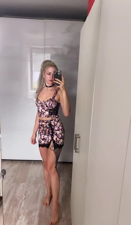 Farbenfuchs photo 15