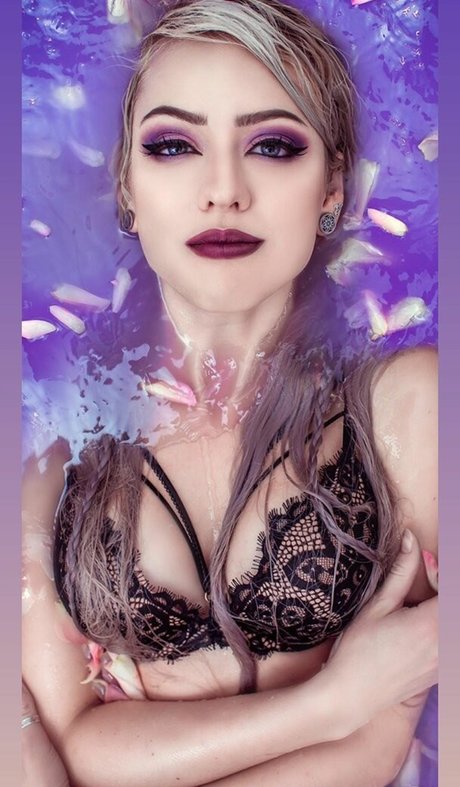 Farbenfuchs photo 32