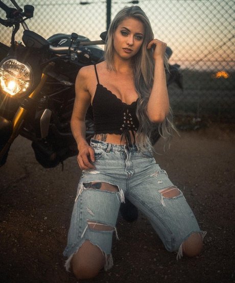 Farbenfuchs photo 84