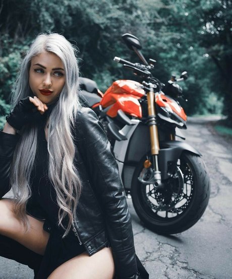 Farbenfuchs photo 88