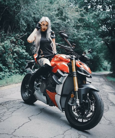 Farbenfuchs photo 89