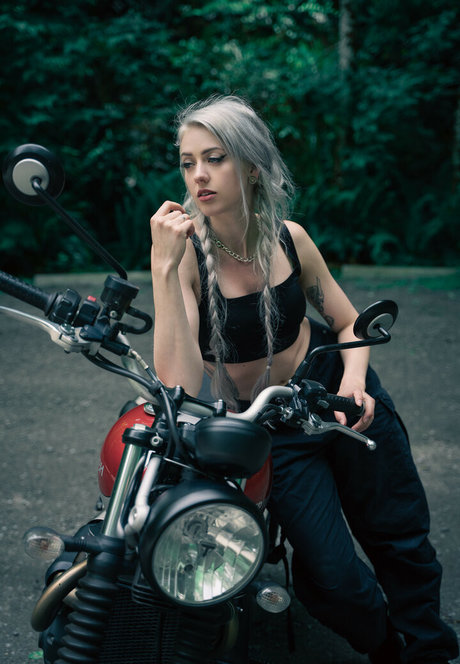 Farbenfuchs photo 91