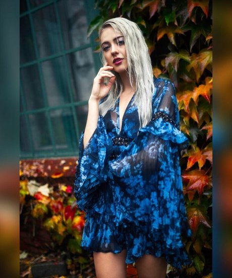 Farbenfuchs photo 94