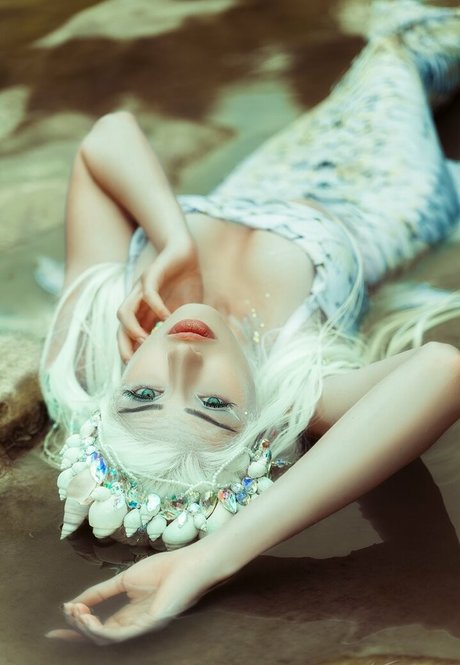 Farbenfuchs photo 95