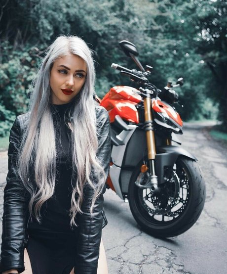 Farbenfuchs photo 99