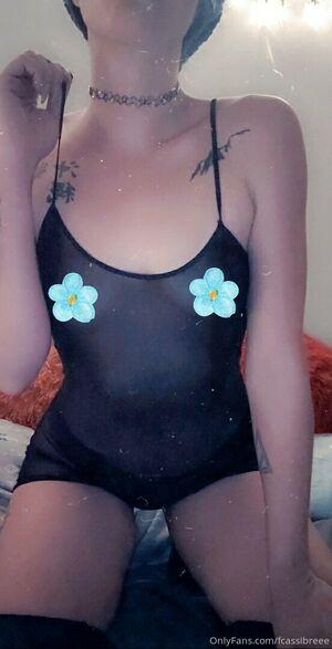 fcassibreee photo 8