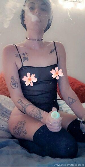 fcassibreee photo 9