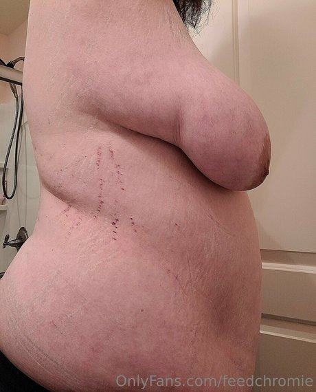 Feedchromie photo 6