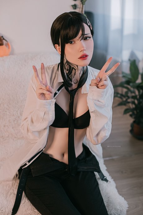 Vell Felice photo 22