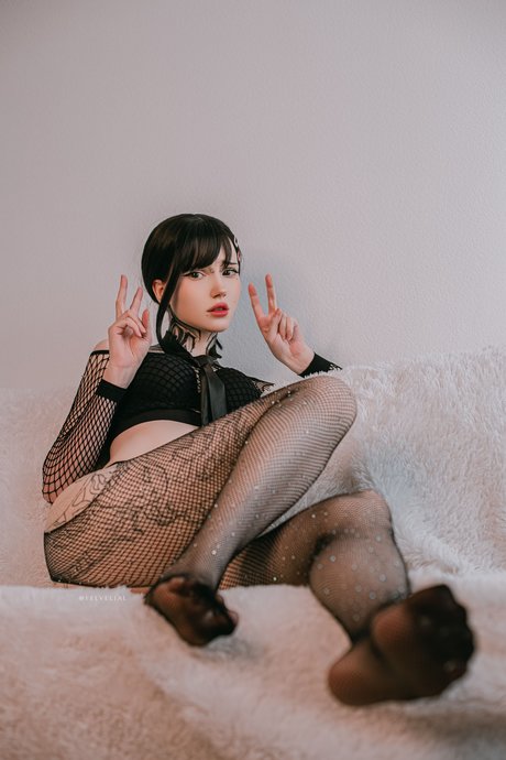 Vell Felice photo 25