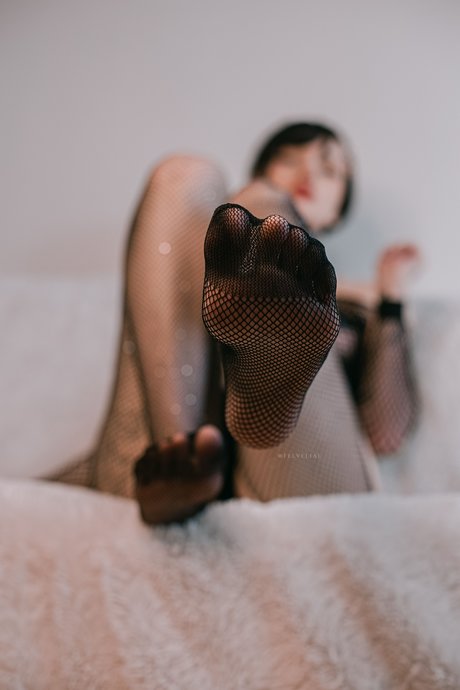 Vell Felice photo 26