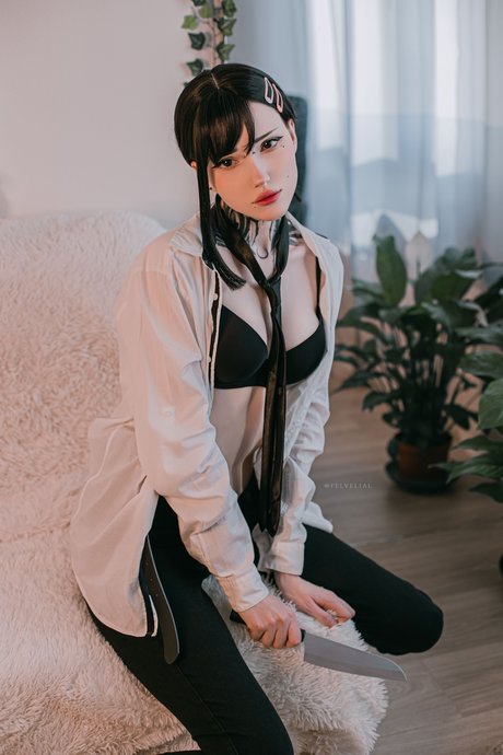 Vell Felice photo 29