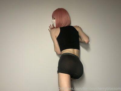 femboycherryblossom photo 2