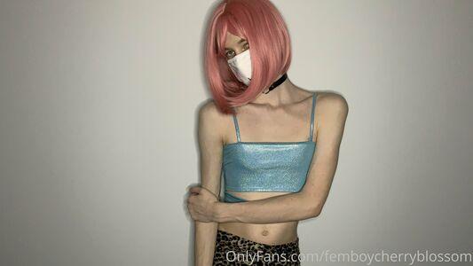 femboycherryblossom photo 17