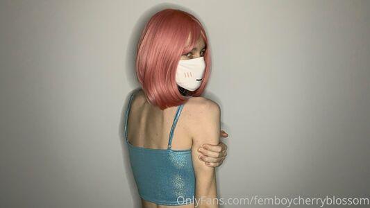 femboycherryblossom photo 23