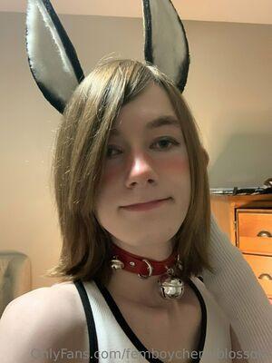 femboycherryblossom photo 187