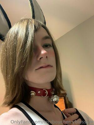 femboycherryblossom photo 189