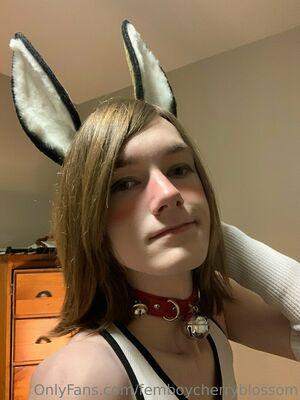 femboycherryblossom photo 190