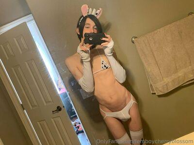femboycherryblossom photo 412
