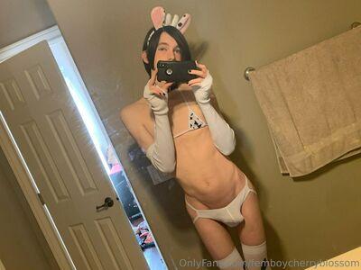 femboycherryblossom photo 413